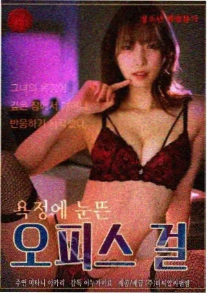 迷雾之塔-电视剧2024